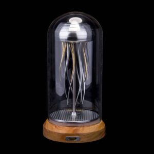Swinging Jellyfish in a Bottle 3D Mechanical Model for Adults Desktop toy